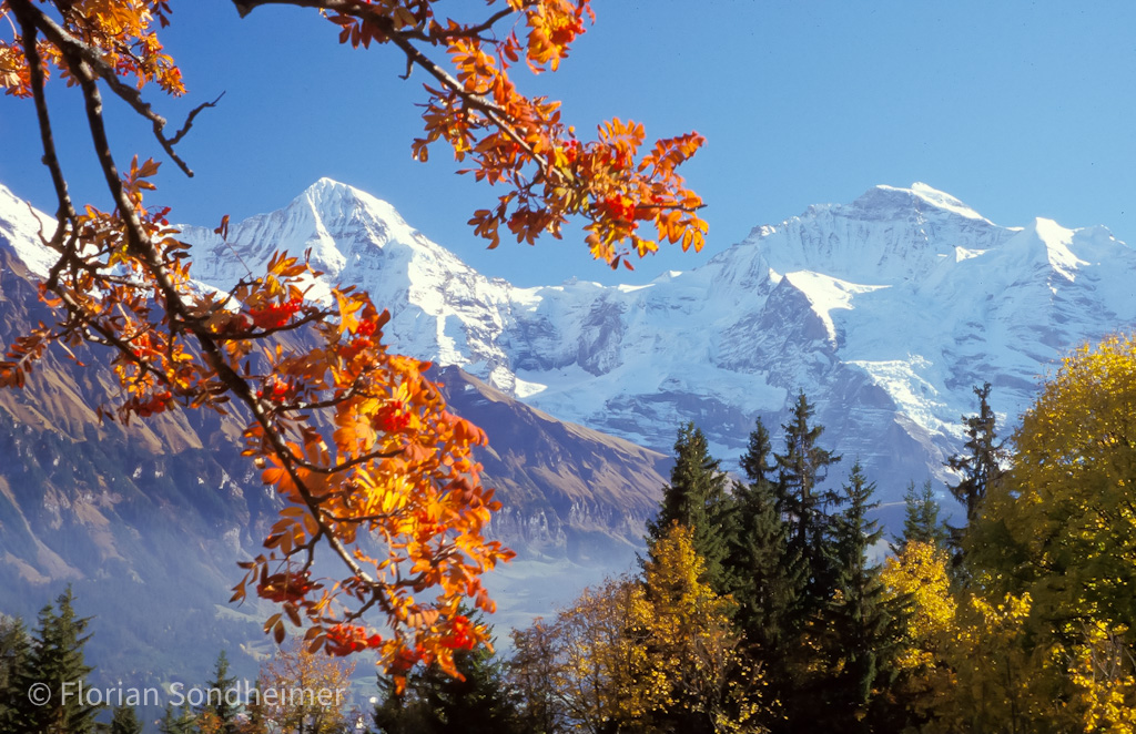 Jungfrau