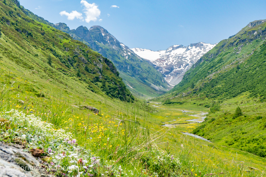 Engadin